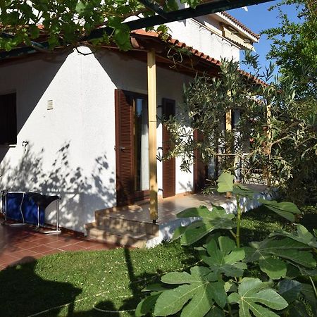 Beautiful Home By The Sea PalaiónTsiflíkion المظهر الخارجي الصورة
